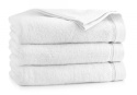 Ręcznik Antybakteryjny BRYZA biały 50x90 Zwoltex