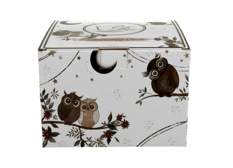 Filiżanka jumbo ze spodkiem 470 ml CHARMING OWLS