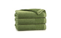 Ręcznik Antybakteryjny PAULO3 zielony 30x50 Zwoltex