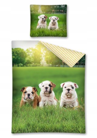 Komplet pościeli SWEET ANIMALS 160x200 Bawełna