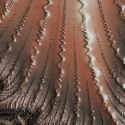 Komplet Pościeli z bawełny PREMIUM13 brązowy 160x200 Eurofirany
