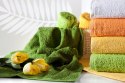 Ręcznik bawełniany GŁADKI2 pomarańczowy 30x50 - Eurofirany