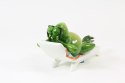 Zielona żaba na leżaczku