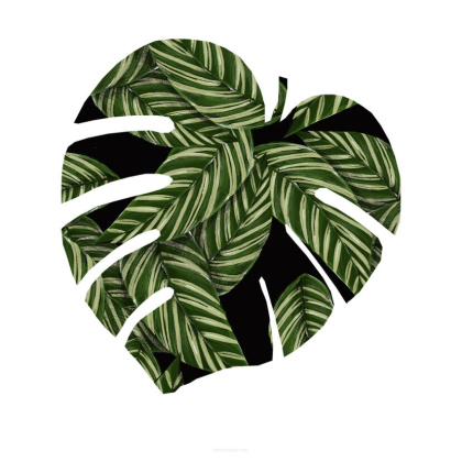 Podkładka na stół Monstera D CAPRI 40x45cm